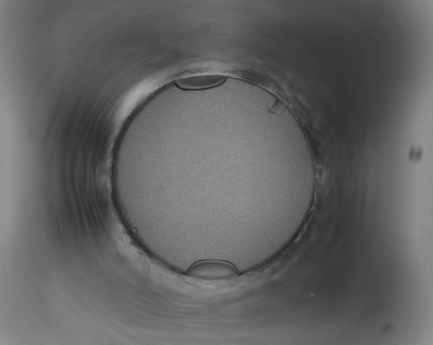 X0000112470006200909071144