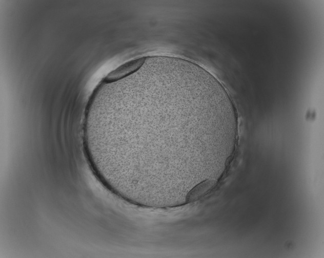 X0000112470007200909071144