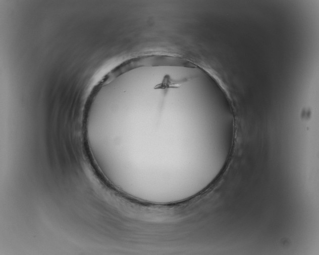 X0000112470008200909071144