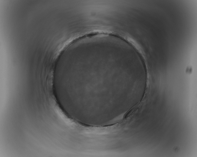 X0000112470009200909071144