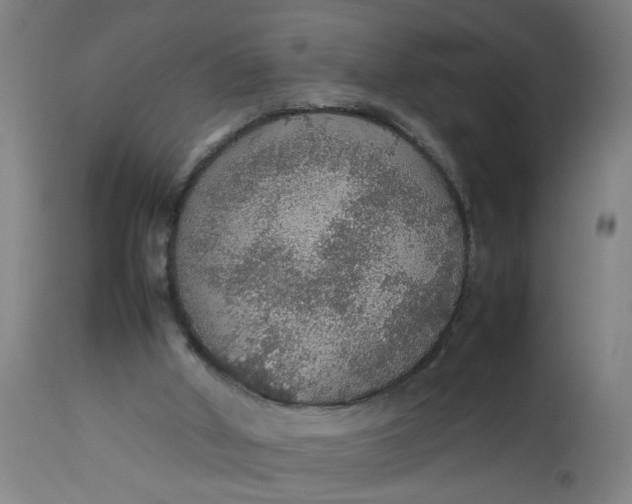 X0000112470010200909071144