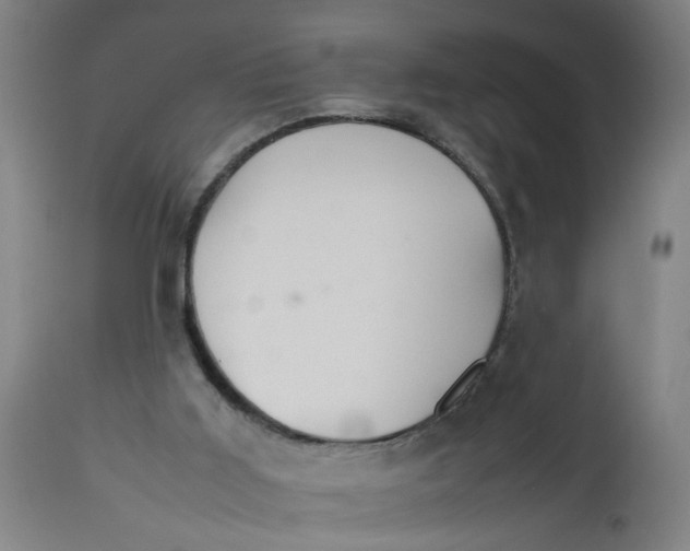 X0000112470011200909071144