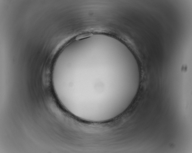 X0000112470012200909071144