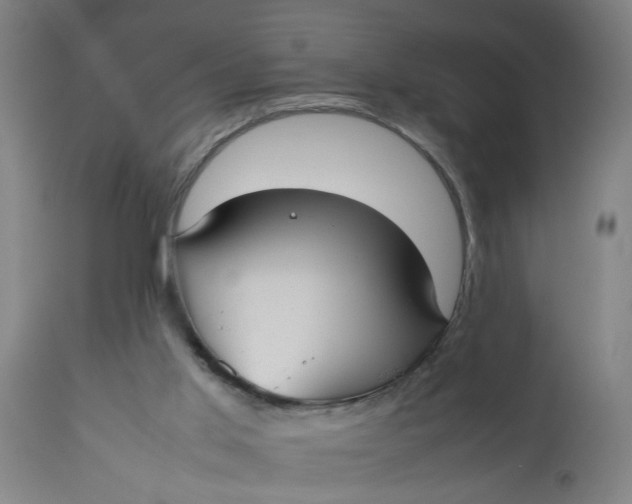 X0000112470013200909071144