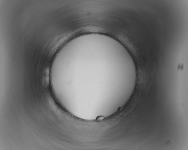 X0000112470014200909071144