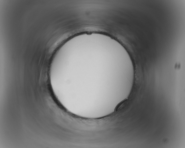 X0000112470015200909071144