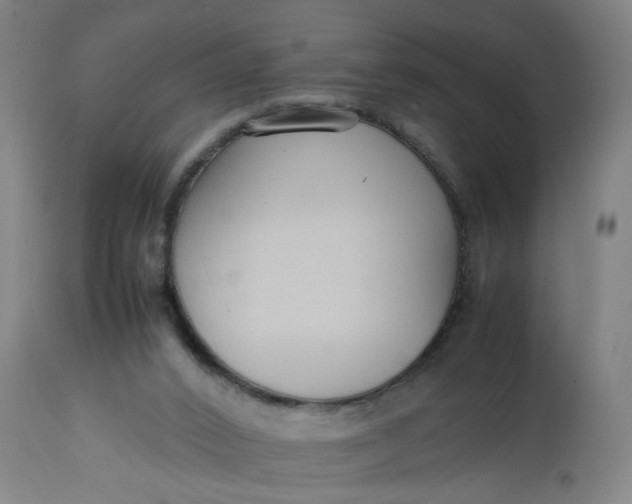 X0000112470016200909071144