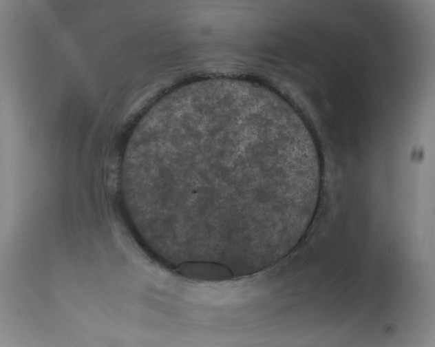 X0000112470017200909071144