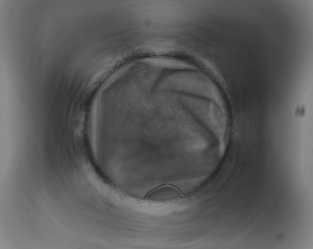 X0000112470018200909071144