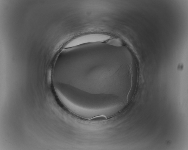 X0000112470019200909071144