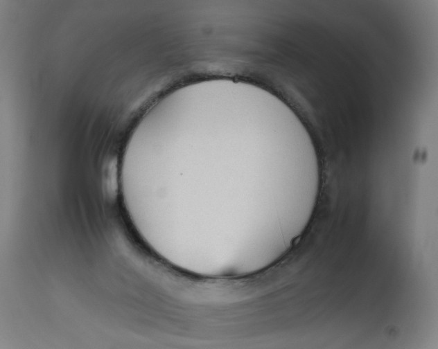 X0000112470020200909071144