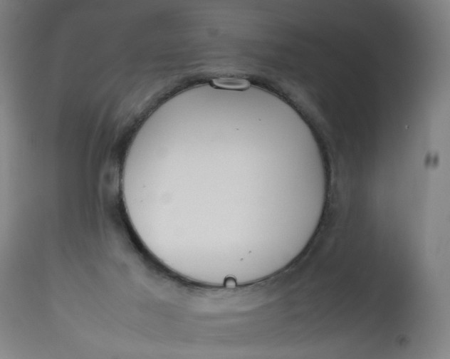 X0000112470021200909071144