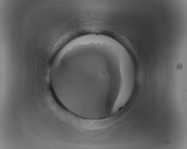 X0000112470023200909071144