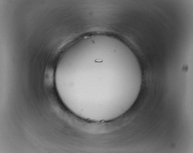 X0000112470024200909071144