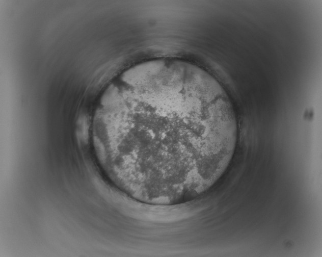 X0000112470026200909071144