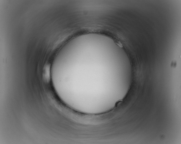 X0000112470028200909071144