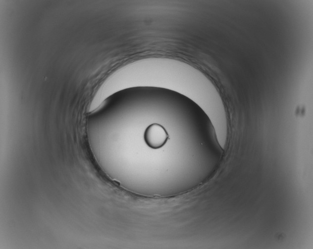 X0000112470029200909071144