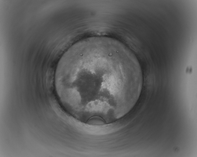 X0000112470030200909071144