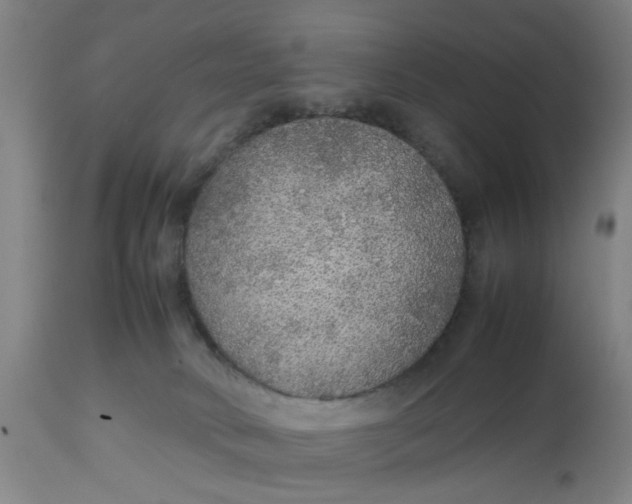 X0000112470034200909071144