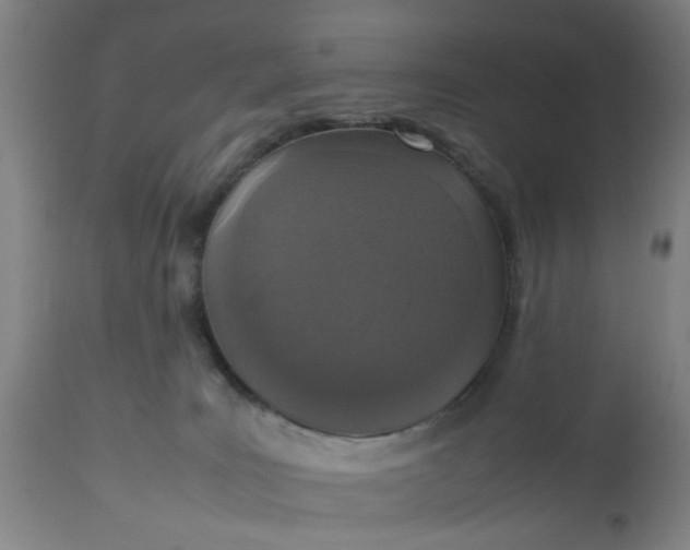 X0000112470035200909071143