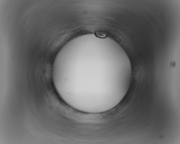 X0000112470036200909071143