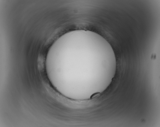 X0000112470038200909071143