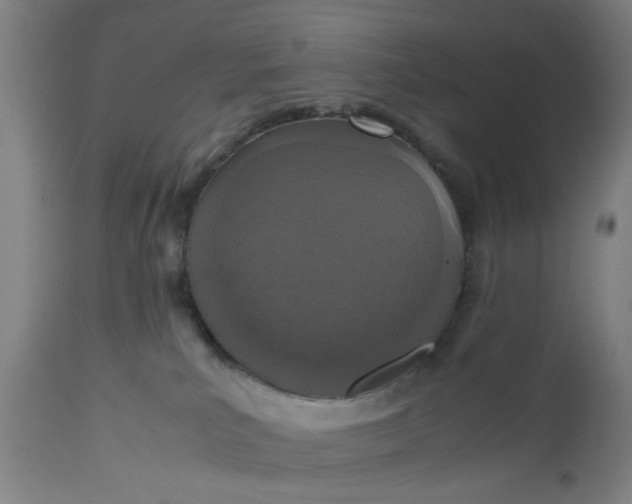 X0000112470039200909071143