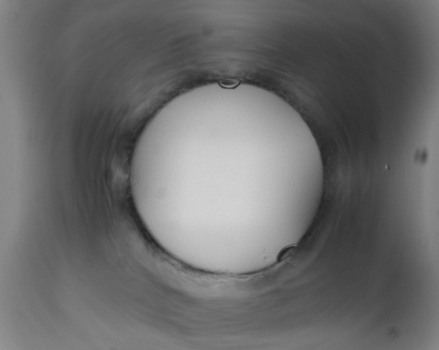 X0000112470040200909071143