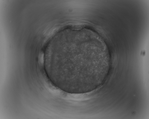 X0000112470041200909071143