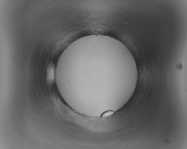 X0000112470042200909071143