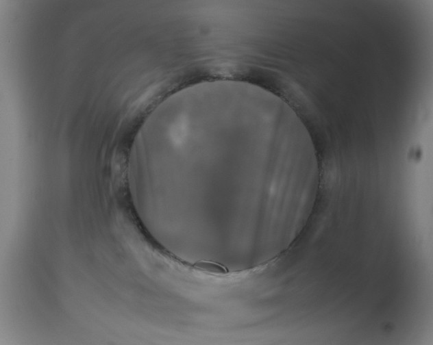 X0000112470043200909071143