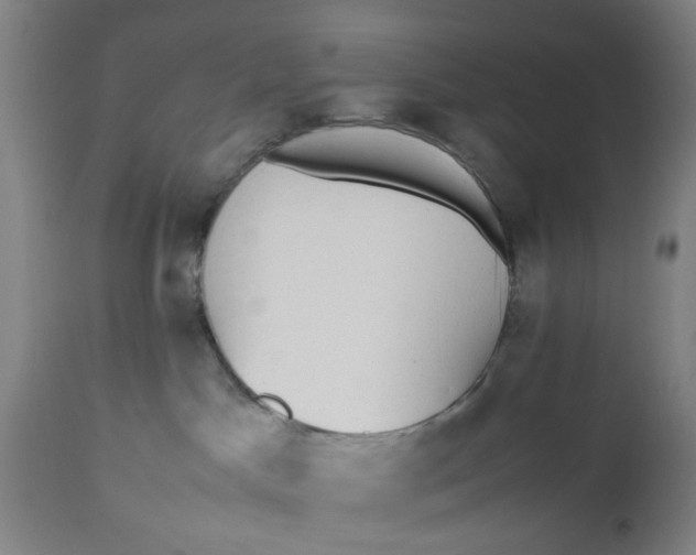 X0000112470045200909071143