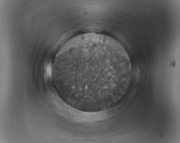 X0000112470046200909071143