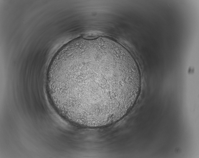 X0000112470049200909071143