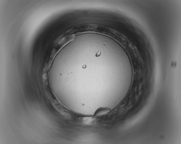 X0000112470050200909071143