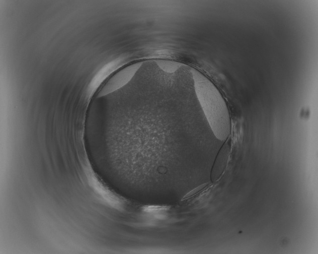 X0000112470051200909071143