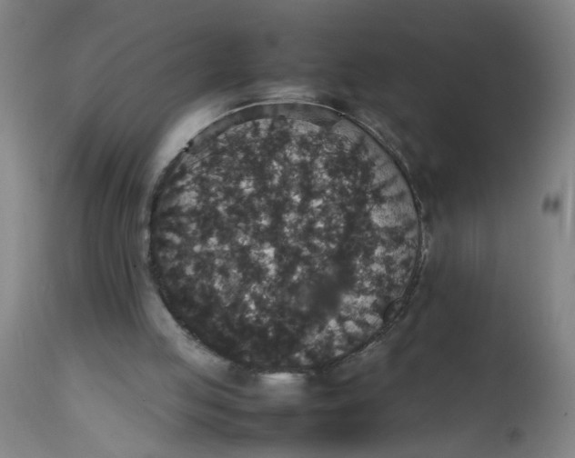 X0000112470053200909071143