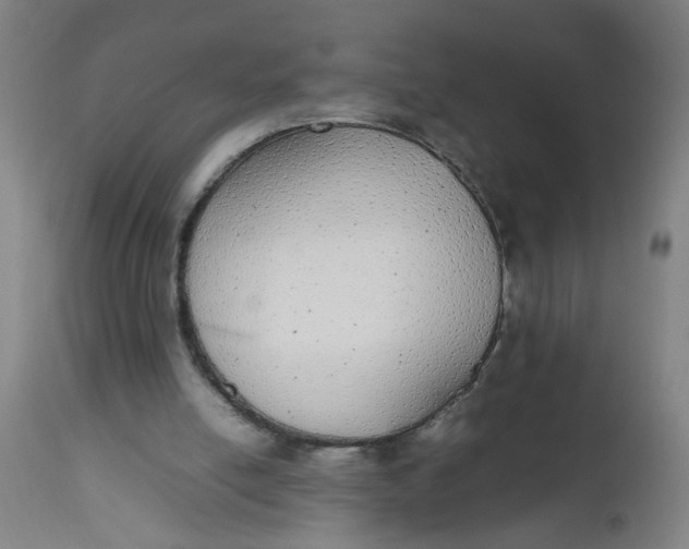 X0000112470054200909071143