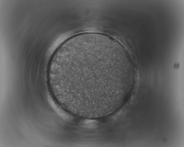 X0000112470055200909071143