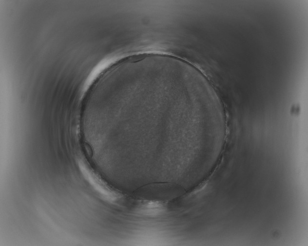 X0000112470056200909071143