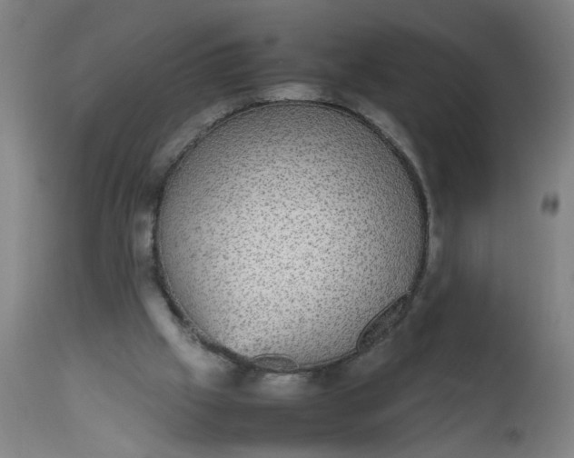 X0000112470057200909071143