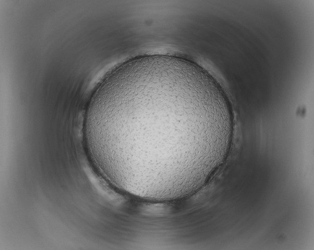 X0000112470058200909071143