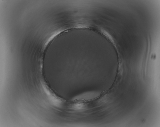 X0000112470059200909071143