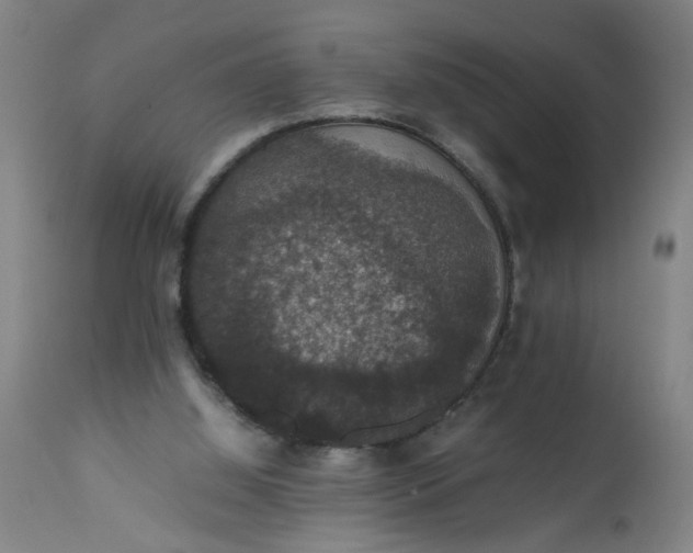 X0000112470060200909071143