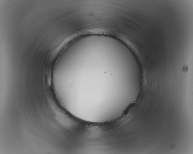 X0000112470062200909071143