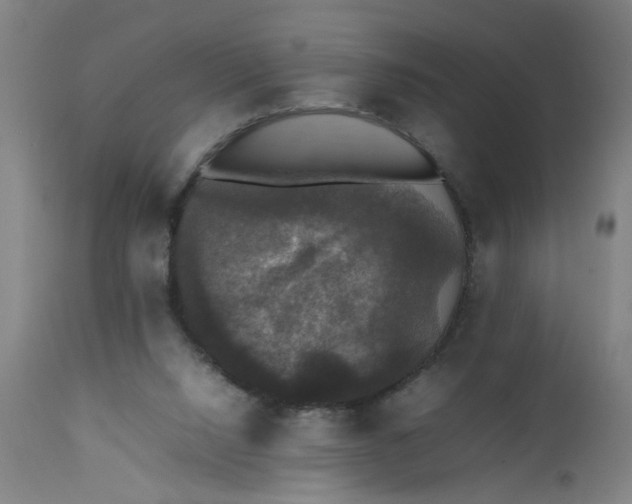 X0000112470064200909071143