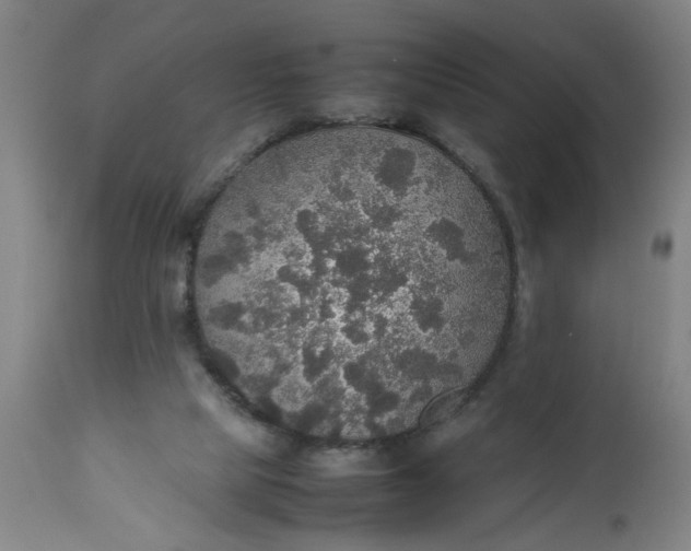 X0000112470065200909071143