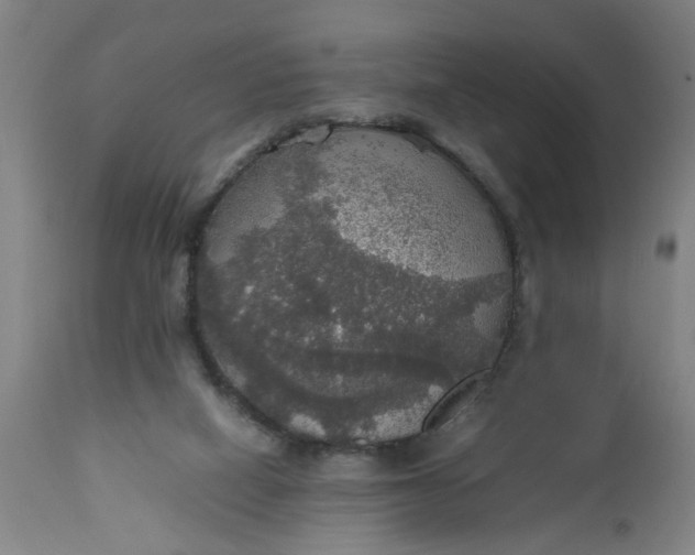 X0000112470066200909071143