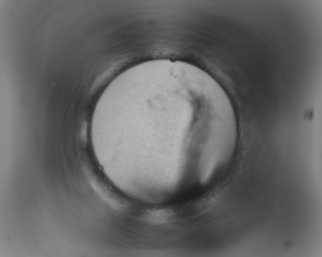 X0000112470067200909071143