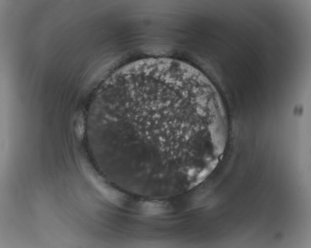 X0000112470069200909071143